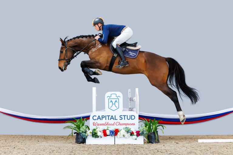 CAPITAL STUD _ 16 _ Qata _0839-Enhanced-NR