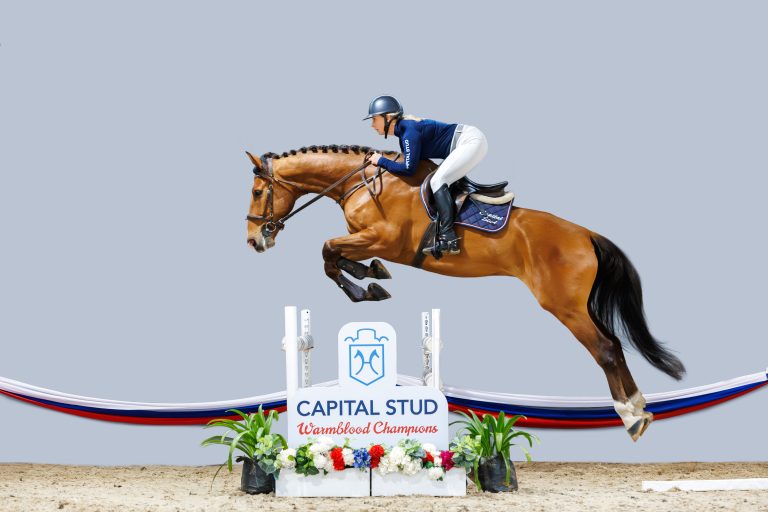 CAPITAL STUD _ 29_ Qastino_1390-Enhanced-NR