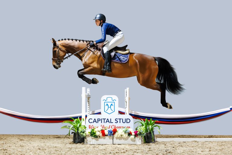 CAPITAL STUD _ 14_ Queenie _0718-Enhanced-NR