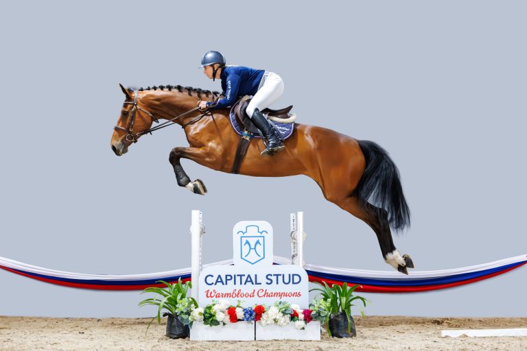 CAPITAL STUD _ 27_ Karoona _1313-Enhanced-NR