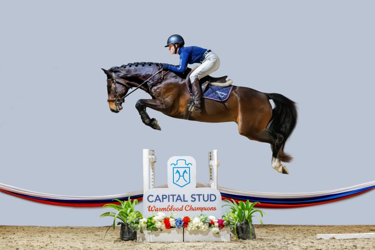 CAPITAL STUD _ 37_ Qualbert_1763-Enhanced-NR