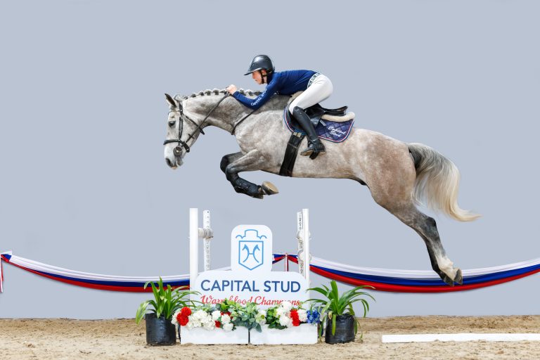 CAPITAL STUD _ 42_ Chandler_1945-Enhanced-NR