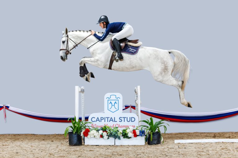 CAPITAL STUD _ 48_ Canberra_2112-Enhanced-NR