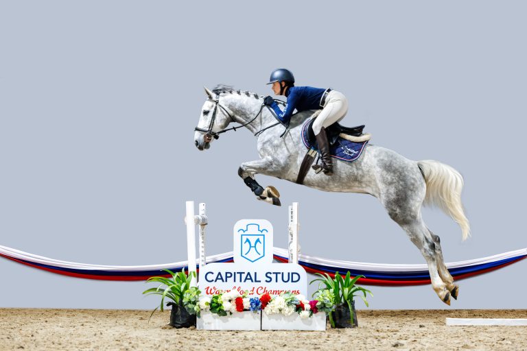 CAPITAL STUD _ 09 _ Cavendish _0543-Enhanced-NR