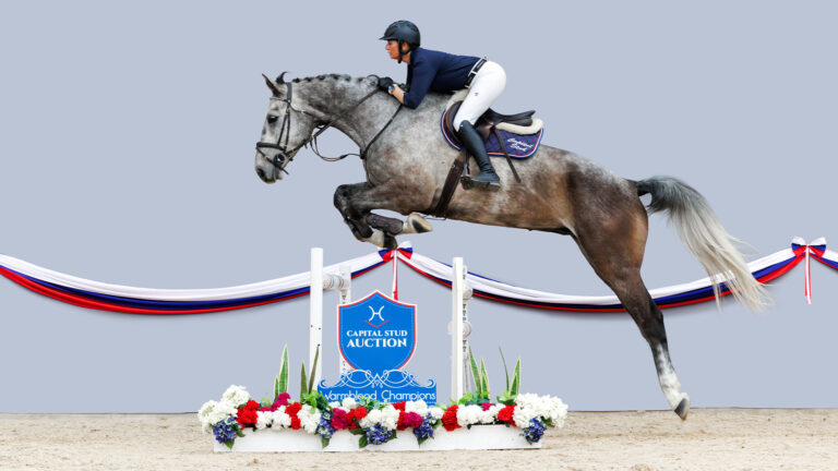 29 Leiland JUMP