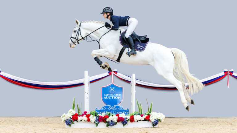 31 Alasca JUMP