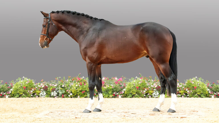 32 Heart Stealer CONFO