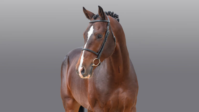 32 Heart Stealer HEAD