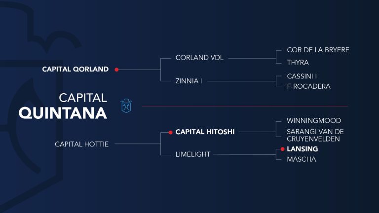 Quintana UPDATED