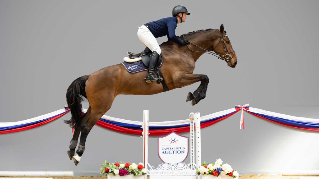 25-Quina-JUMP