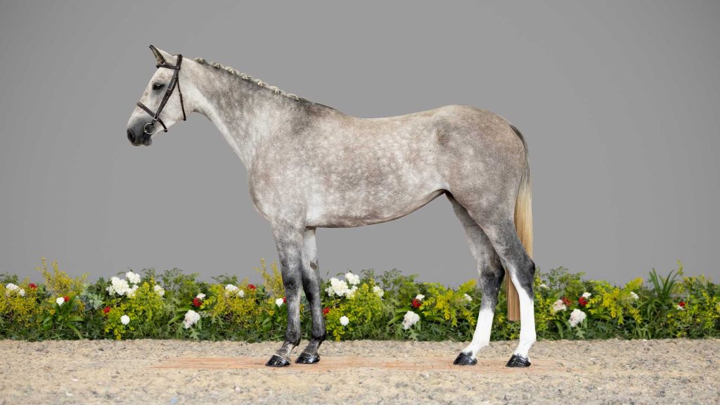 26-Raylee-CONFO