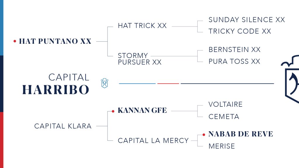 Harribo-100